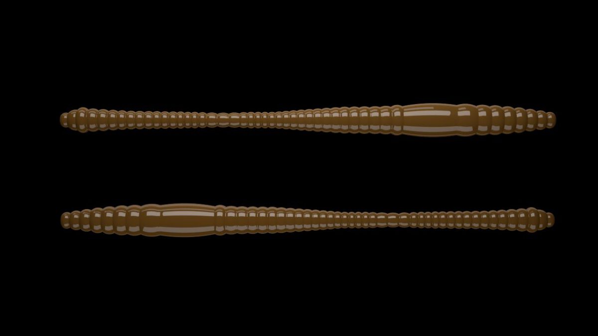 Dying Worm 038 BROWN.jpg